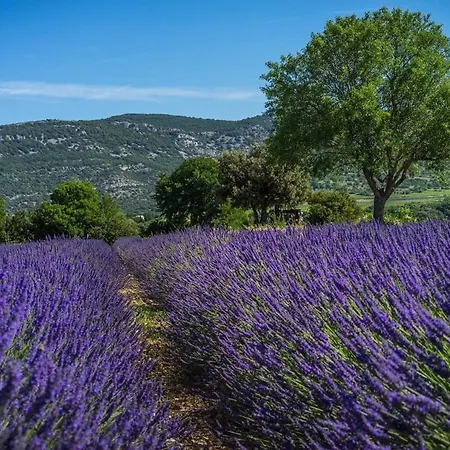 Maison En Pierre Avec Piscine-gorges De L'ardeche * Saint-Remeze